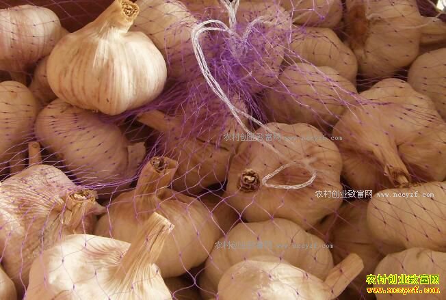 ����۸����ǡ�Ͷ�������