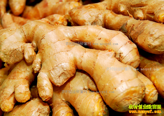 ���������۸����飺���Ͻ����漾�����۸�һ