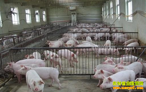 �ӱ����������۸����飺����������Ӧ��ʱ����