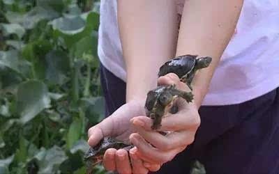 �����Ͳ���������ֳ�ڹ�����2ǧ��