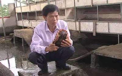 �����Ͳ���������ֳ�ڹ�����2ǧ��