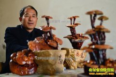 �ӱ���������־����ֲ��֥�辰ǰ����