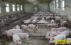 �ӱ����������۸����飺����������Ӧ��ʱ����