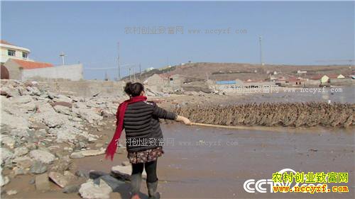 ����ϱ����Ѽ�º�(2016.12.26)