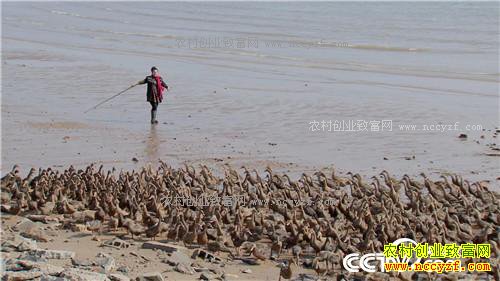 ����ϱ����Ѽ�º�(2016.12.26)