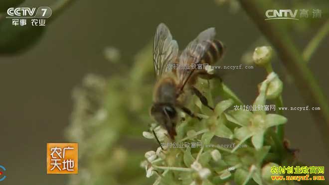 [ũ�����]������İٻ��� 20161223