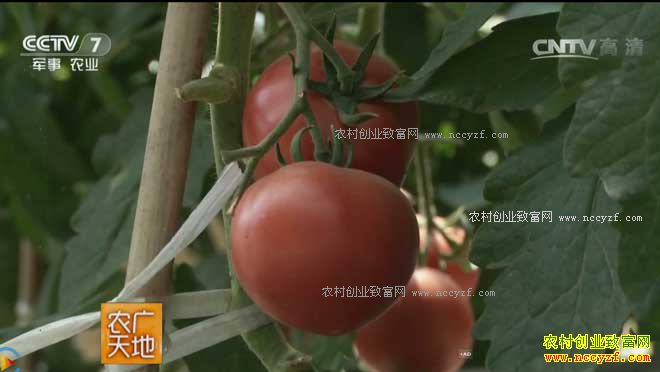 [ũ�����]���ʹ��������ɫ���� 20161226