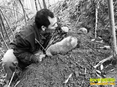 ����ͭ���������������ֳ�������ֵ200����Ԫ