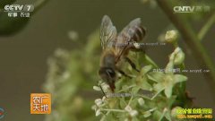 [ũ�����]��������ۣ�������İٻ���