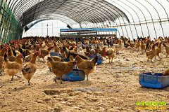 ��������׬Ǯ��������ҵ���ش�������ʽ���ֹ�