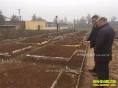 Ы�Ӽ۸�����Ԥ�⣺ȫЫ�۸������ٶ���������ע