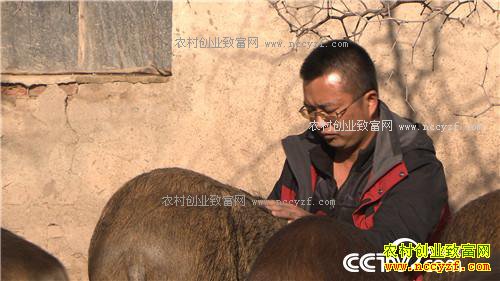 [�¸���]���������ƽ���Ұ����ҵ�¸���