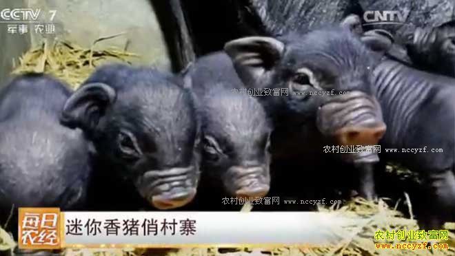 [ÿ��ũ��]���������δ�կ 20161227