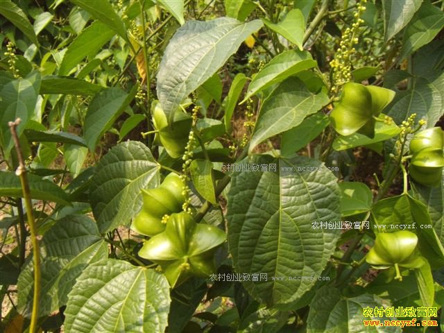 [�Ƽ�Է]��������ٹ� 20161207