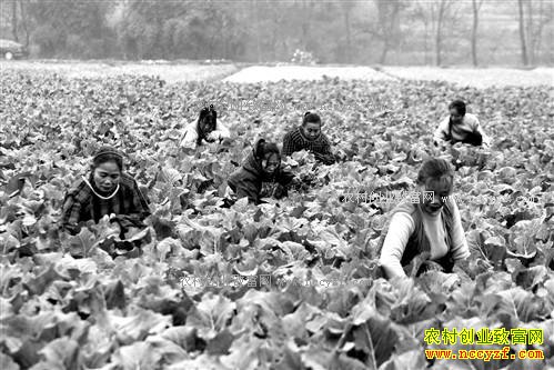 ����潭��ˮ���߲�����ÿĶ���ֵ��2��Ԫ