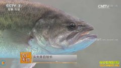 [ũ�����]�㶫��ɽ��ں�����ֳ������Ƶ