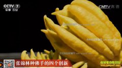 [�Ƽ�Է]�㽭���Ž�����ֲ���ֵ��ĸ�����