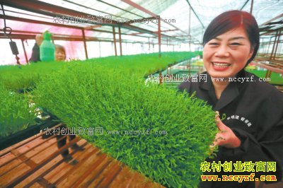 ����֣����÷����������ѿ���г�����