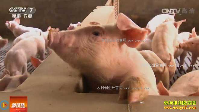 [�Ƽ�Է]�㽭���ε����б������ഴ����漣 20161221