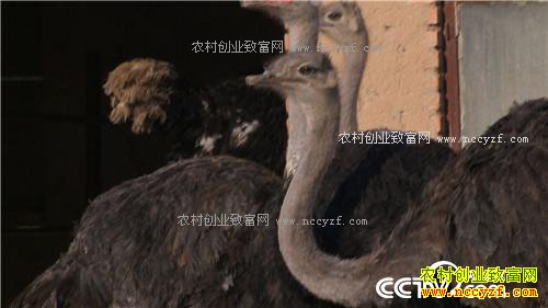 �����ص��� ׬��һ�ݵ�Ǯ