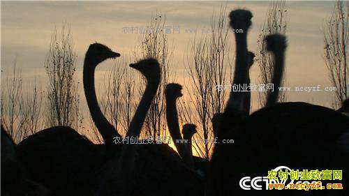 �����ص��� ׬��һ�ݵ�Ǯ