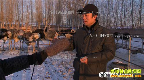 �����ص��� ׬��һ�ݵ�Ǯ