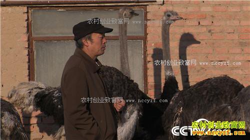 �����ص��� ׬��һ�ݵ�Ǯ