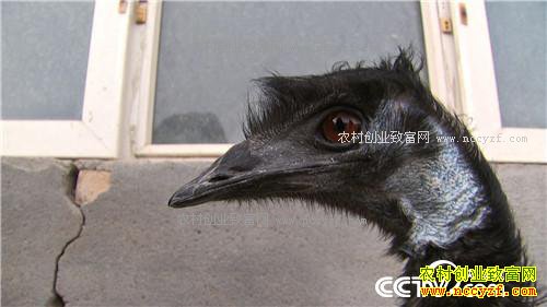 �����ص��� ׬��һ�ݵ�Ǯ