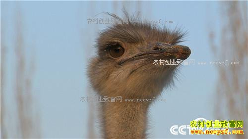 �����ص��� ׬��һ�ݵ�Ǯ