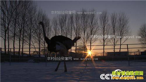 �����ص��� ׬��һ�ݵ�Ǯ