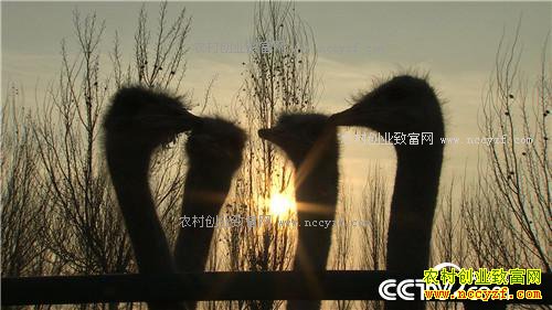 �����ص��� ׬��һ�ݵ�Ǯ