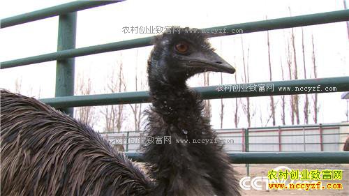 �����ص��� ׬��һ�ݵ�Ǯ