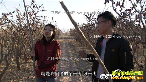 ���ӻ�ͷ �����鷿ȥ����