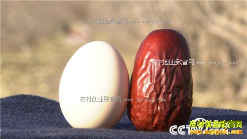 ���ӻ�ͷ �����鷿ȥ����