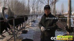 [�¸���]�����������ſ�����ֳ�����������540��Ԫ