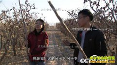 [�¸���]�Ϻ�ţ˧�½���ֲ���￥��������ǧ��Ԫ