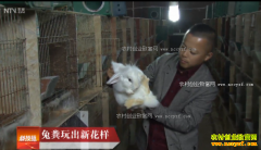 [�Ƽ�Է]������ͬ��ũ���������÷�����»���