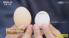 [ÿ��ũ��]�㶫��Զ��ȫ����ֳ��Զ�鼦ֻ��ĸ��