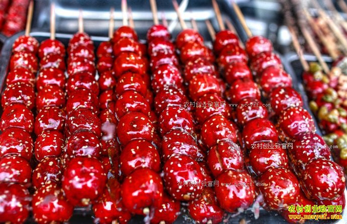 ũ�������Ƶ�����Ǻ�«������������Ƶ