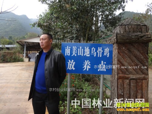 �����ٲ׶�������ֳ����ɽ�ؼ�300ֻЧ�����Ԫ