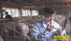 �㽭�ƺ���80���ѧ������������������ҵ��������¸�