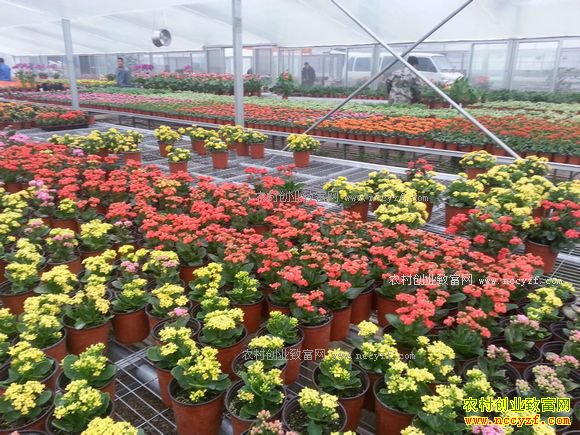 �������������������ֲ���ܿ����¸�·