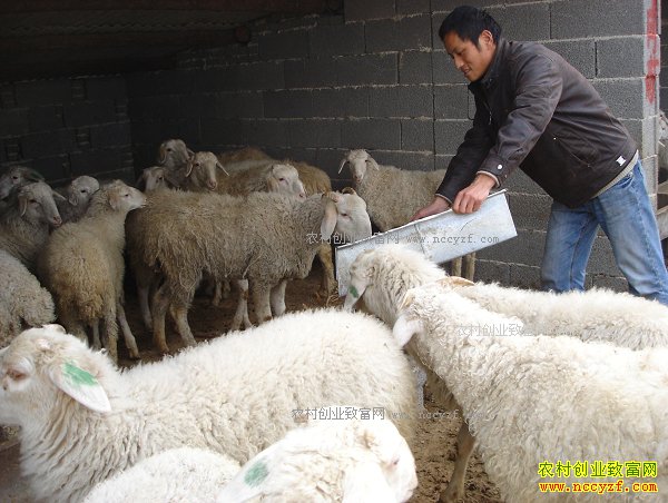 ���໷����ѧ�������������ϴ����������򡰷���ơ�