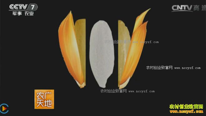 [ũ�����]���ȼӹ� 20161229