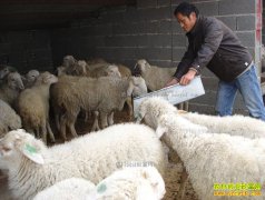 ���໷����ѧ�������������ϴ����������򡰷���ơ�