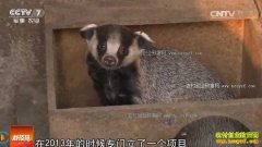 [�Ƽ�Է]��Ӻ����� ��������� �˹��������Ƶ