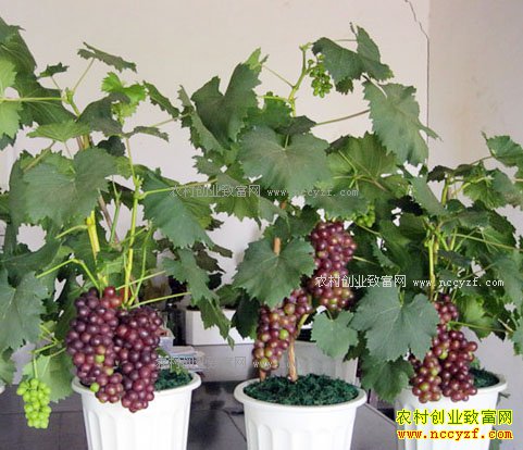 ��������������������