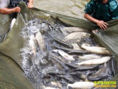 [�Ƽ�Է]�����ֱ��������پ���Ҫ���߲��Ĺ�����