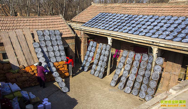 ���ս��׳�ׯ����Ƥ�ӹ�Ч��ó��¸�����Ŀ