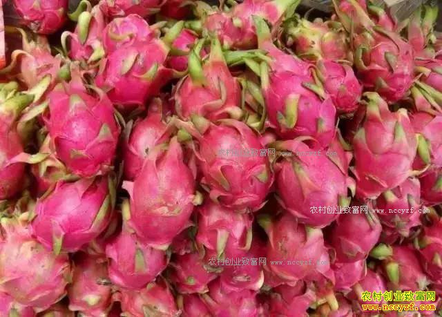 2016��ˮ���۸�������� 2017��ˮ���۸��������